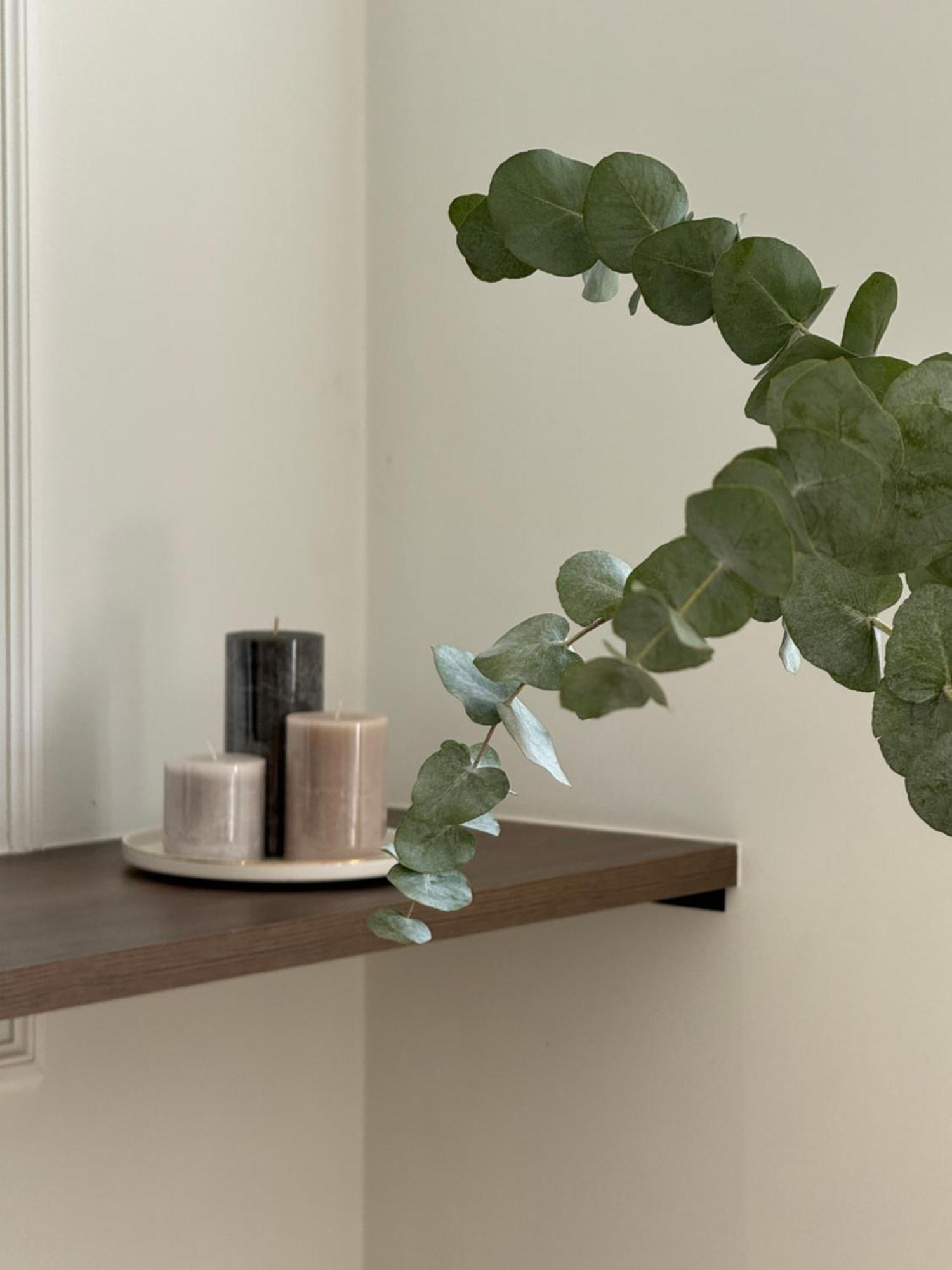 Navas 202 Elegant Suite غرناطة المظهر الخارجي الصورة